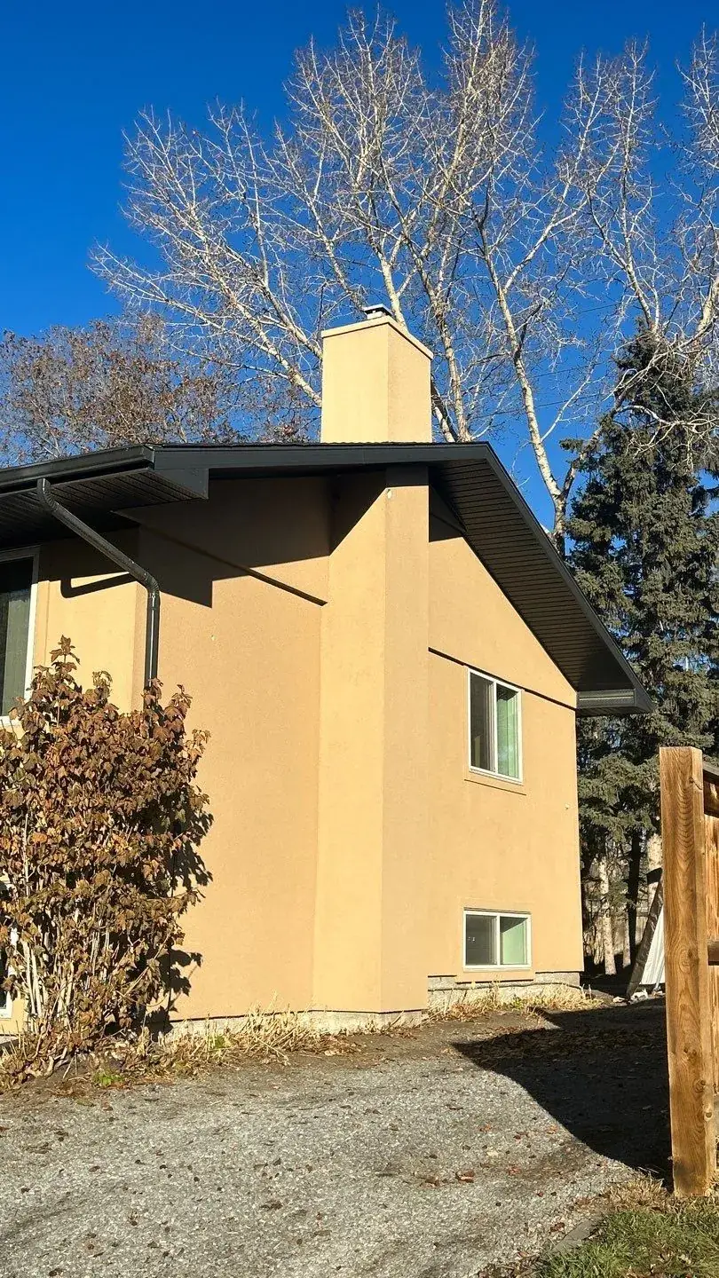Woodpecker-damaged EIFS stucco before repair