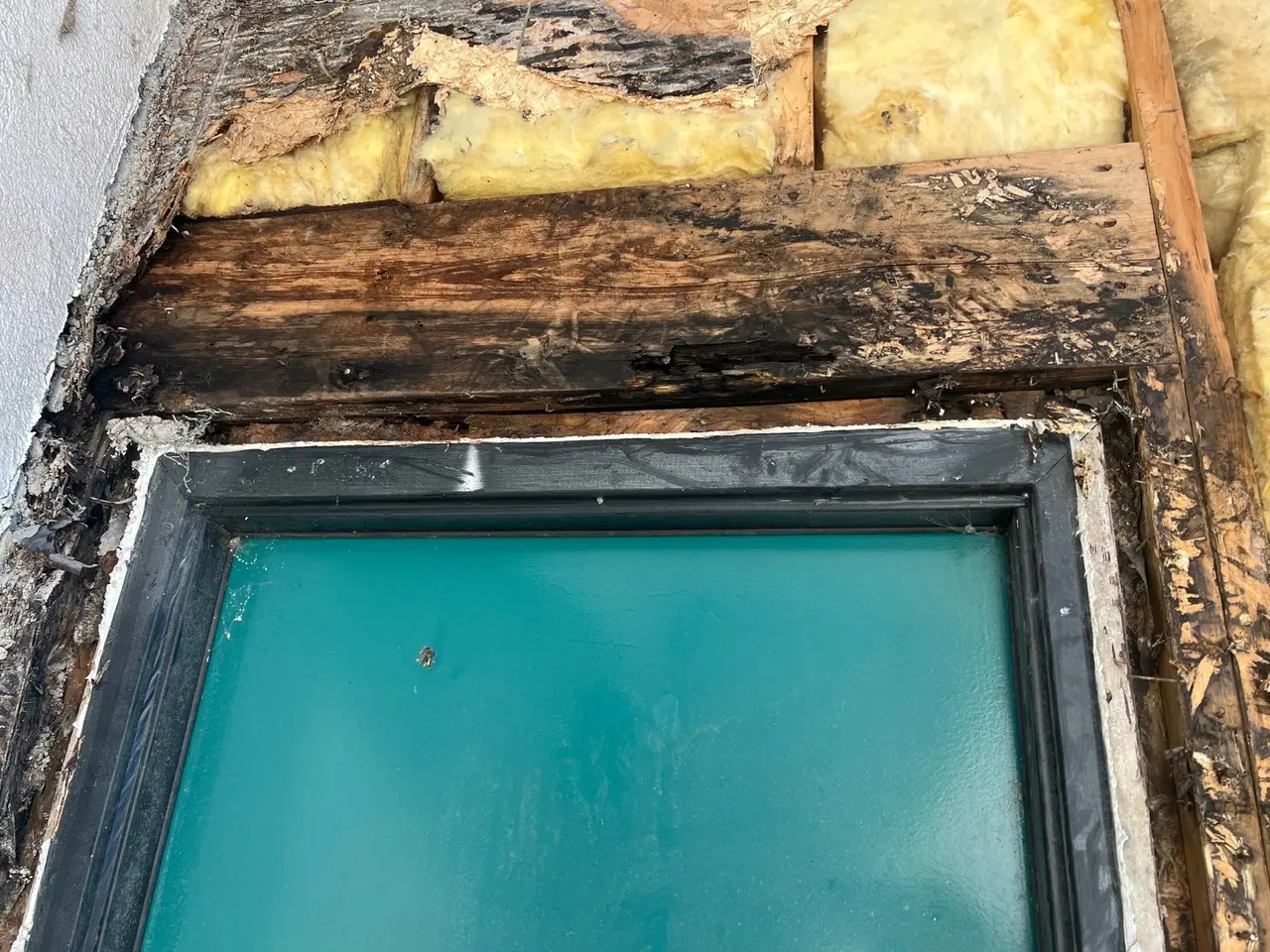 Rotted wood header above a window opening with blackened framing and contaminated fibreglass batt insulation